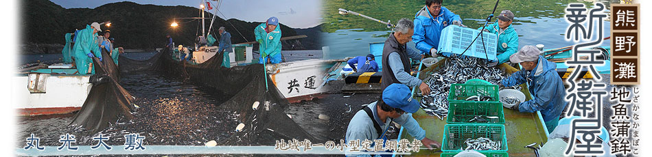 �F���@�n�����܂ڂ��@�V���q��